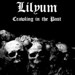 Crawling in the Past