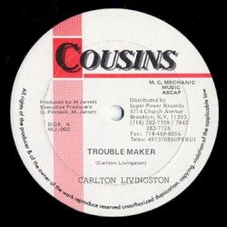 Gunshot / Trouble Maker