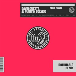Thing for You (Don Diablo remix)