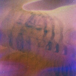 Dream From The Deep Well