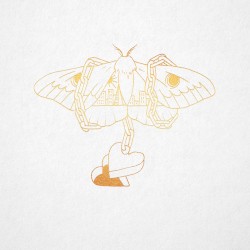 Gold in a Brass Age (Ground Control Acoustic Sessions)