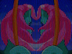 ✨YOU MUST SHINE✨