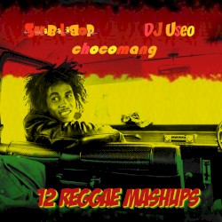 12 Reggae Mashups