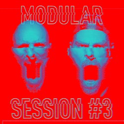 Modular Session #3