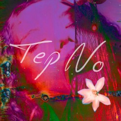 Perception (Commentary About Fame)