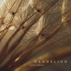 Danderlion