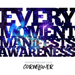 Every Moment Manifests Awareness