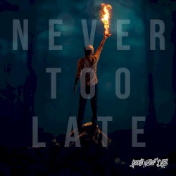Never Too Late (feat. Onlap)