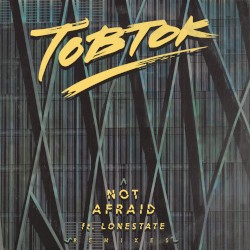 Not Afraid (remixes)