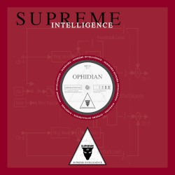 Absolute Evil / Black