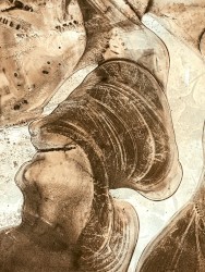 Before I Start to Fall, I Travelled in Time to When Creation Had Begun; Why Are We Praying to Higher Forces If Time Stops to Tick When We Sleep? And When Love Rules the World, Will the World Ever End?