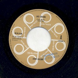 Las chivas / Guadalajara