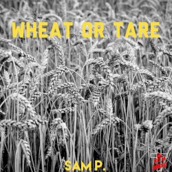 Wheat or Tare