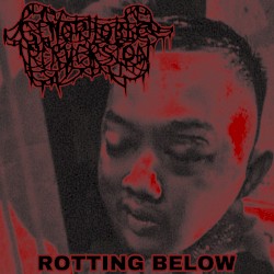 Rotting Below