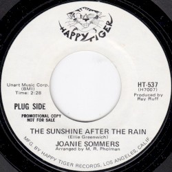 The Sunshine After the Rain / Tell Him