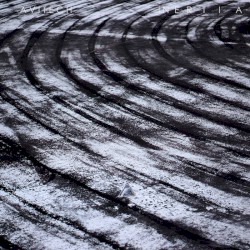 Inertia