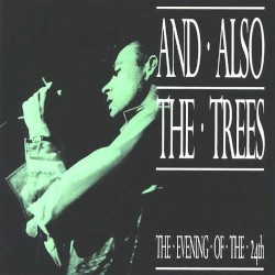 The Evening of the 24th