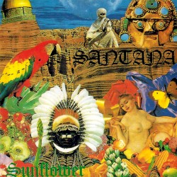 Sunflower (20th Anniversary Reunion Concert)