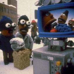 Live From the Corner