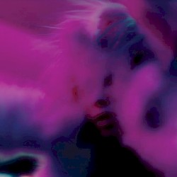 Wildeye (Danny L Harle remix)