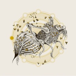 Crawling Like A Leech / Anal Paranoid