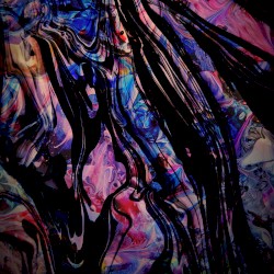 Retrospection 5