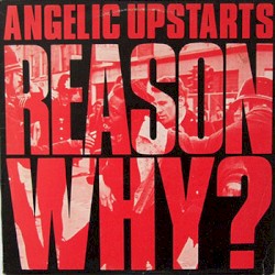 Reason Why?