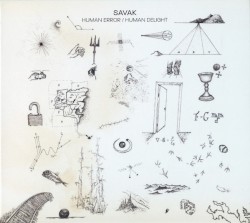 Human Error / Human Delight