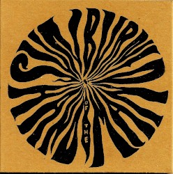 The Secret in Disguise