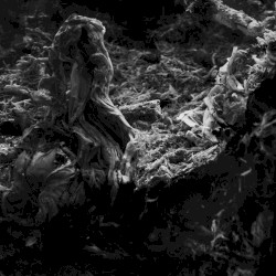 Unpredictability Of Probability