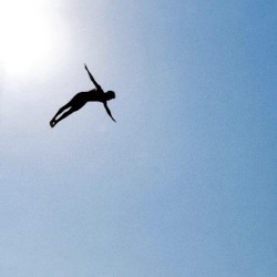 ציפור כחולה