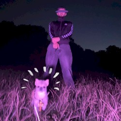 Kampfhund im Club - 2024