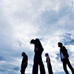 WILD BUNNY BLUES / のうさぎのブルース