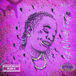 So Much Fun (Chopped Not Slopped by Slim K)