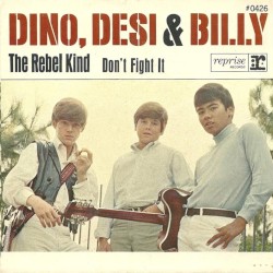 Please Don't Fight It / The Rebel Kind