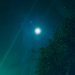 In a space the size of the sky