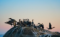 Hasten Your Next Thought to See a Soul in Statu Nascendi