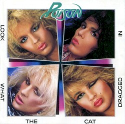 Look What the Cat Dragged In