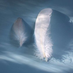 Minnelandet: Andre Kapittel