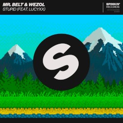 Stupid (extended mix)