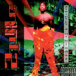 Strictly 4 My N.I.G.G.A.Z…