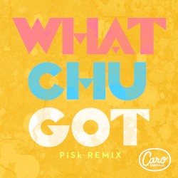 Whatchugot (Pisk remix)