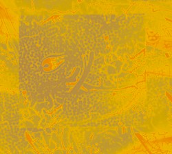 It Has Been Mad Days