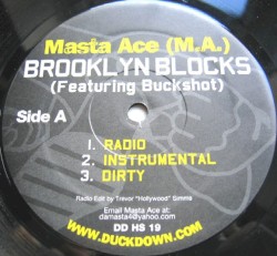 Brooklyn Blocks BW Last Bref