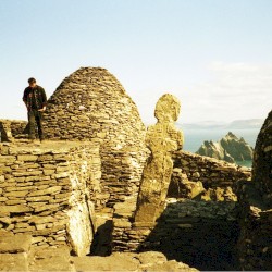 Tender Gold & Gentle Blue