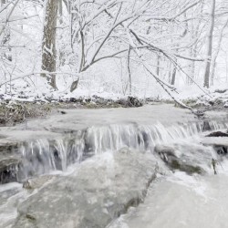 Clear Creek (Wintry mix)