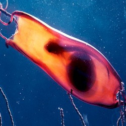 140: The New Yes You Reincarnated Into Failure