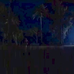 A Trip to New Hampshire