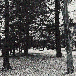 Echoes