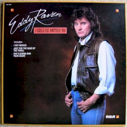 I Could Use Another You